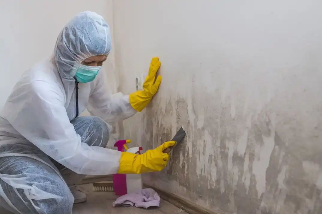 water damage restoration service Villages of Sunset Pointe